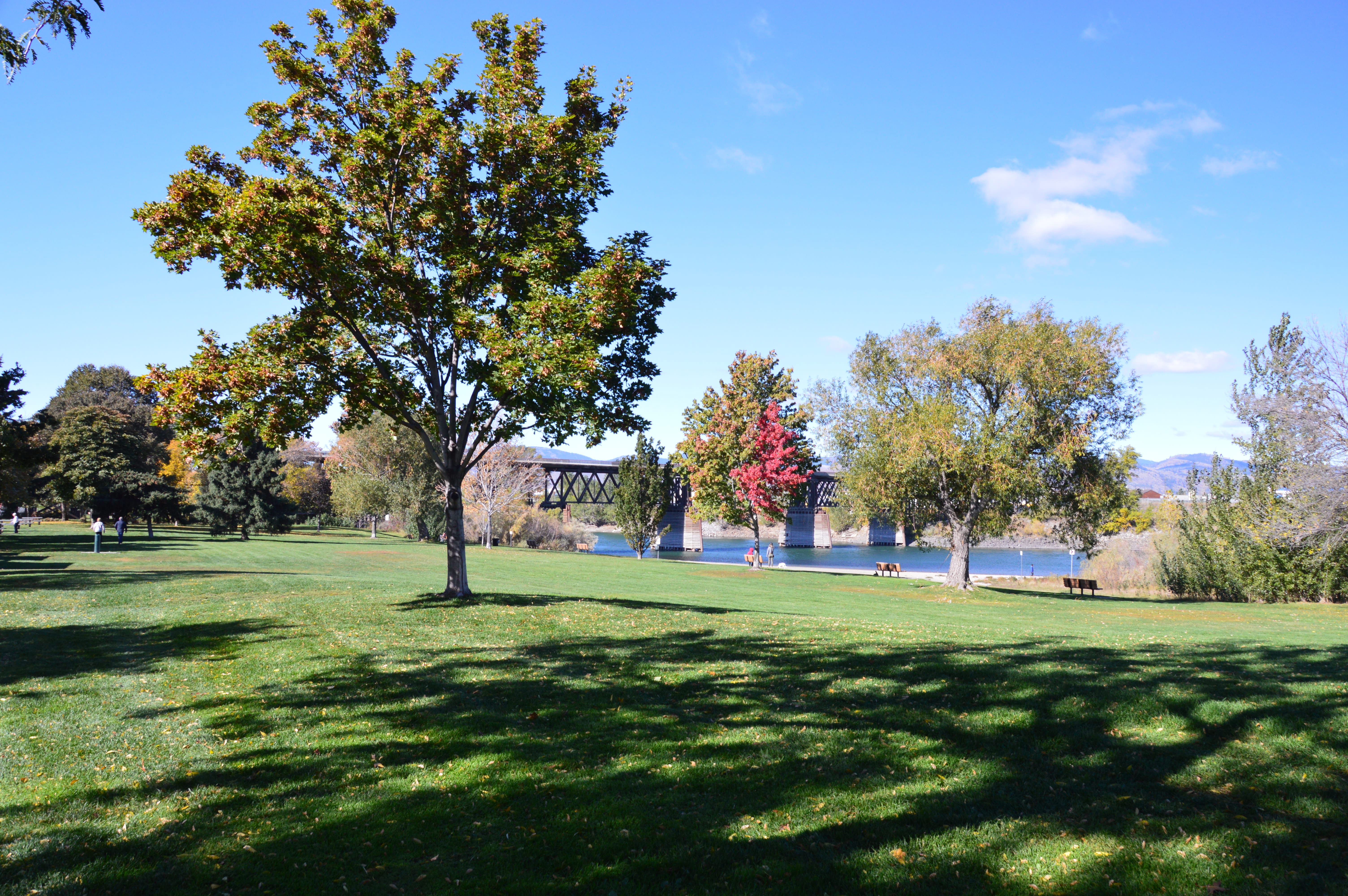 Pioneer%20Park.jpg