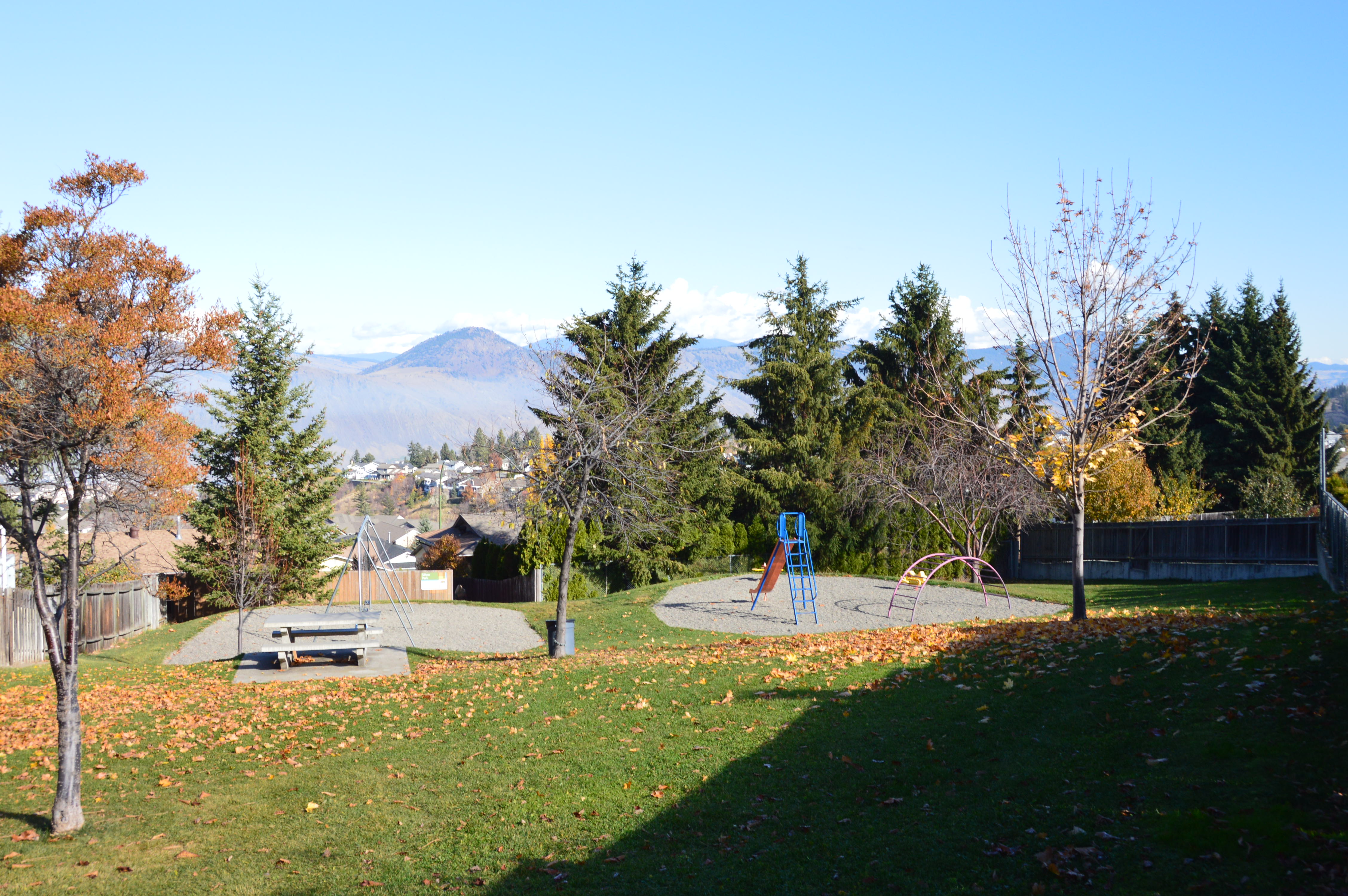 Sifton%20Park.jpg